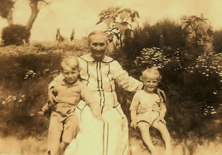 Julia E Ward Jenkins